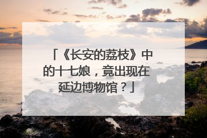 《长安的荔枝》中的十七娘，竟出现在延边博物馆？