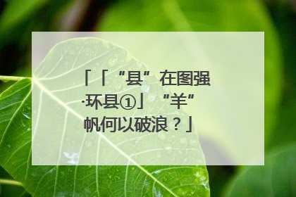 「“县”在图强·环县①」“羊”帆何以破浪？