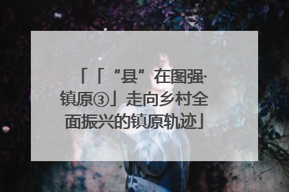 「“县”在图强·镇原③」走向乡村全面振兴的镇原轨迹