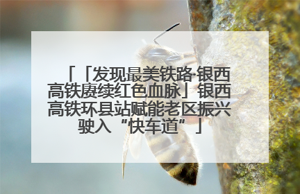 「发现最美铁路·银西高铁赓续红色血脉」银西高铁环县站赋能老区振兴驶入“快车道”