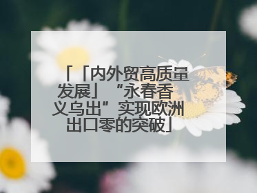 「内外贸高质量发展」“永春香 义乌出”实现欧洲出口零的突破