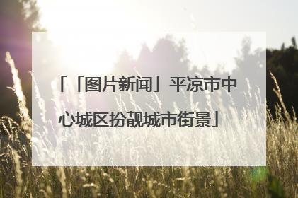 「图片新闻」平凉市中心城区扮靓城市街景