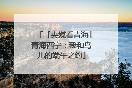 「央媒看青海」青海西宁：我和鸟儿的端午之约