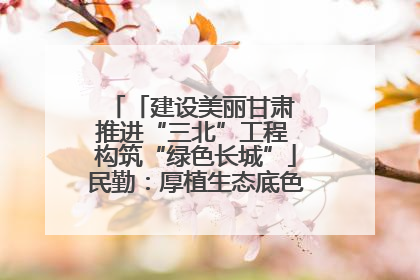 「建设美丽甘肃 推进“三北”工程 构筑“绿色长城”」民勤：厚植生态底色 筑牢绿色屏障