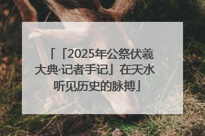 「2025年公祭伏羲大典·记者手记」在天水 听见历史的脉搏