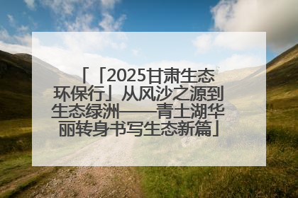 「2025甘肃生态环保行」从风沙之源到生态绿洲——青土湖华丽转身书写生态新篇
