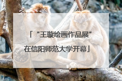“王璇绘画作品展”在信阳师范大学开幕