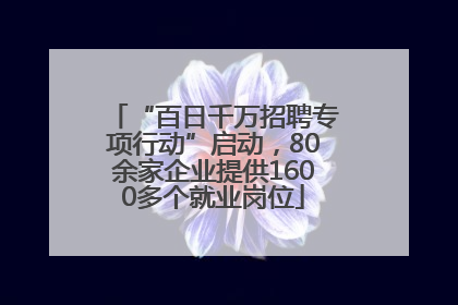 “百日千万招聘专项行动”启动，80余家企业提供1600多个就业岗位