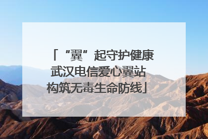 “翼”起守护健康 武汉电信爱心翼站构筑无毒生命防线