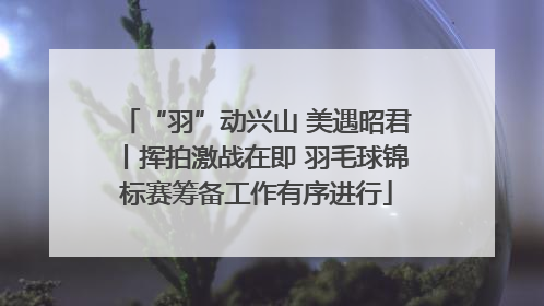 “羽”动兴山 美遇昭君丨挥拍激战在即 羽毛球锦标赛筹备工作有序进行