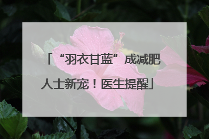 “羽衣甘蓝”成减肥人士新宠！医生提醒