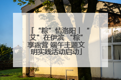 “粽”情洛阳丨“艾”在伊滨 “粽”享露营 端午主题文明实践活动启动