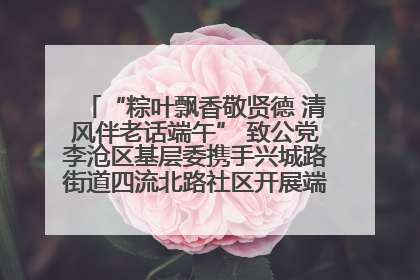 “粽叶飘香敬贤德 清风伴老话端午” 致公党李沧区基层委携手兴城路街道四流北路社区开展端午节主题活动