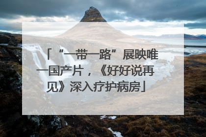 “一带一路”展映唯一国产片，《好好说再见》深入疗护病房