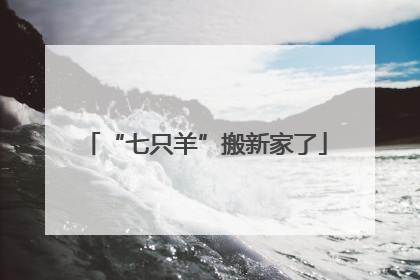 “七只羊”搬新家了