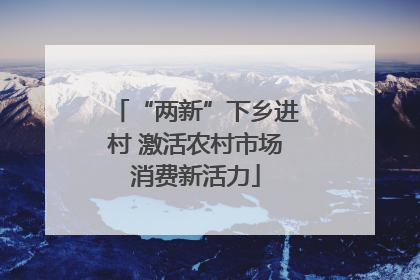 “两新”下乡进村 激活农村市场消费新活力