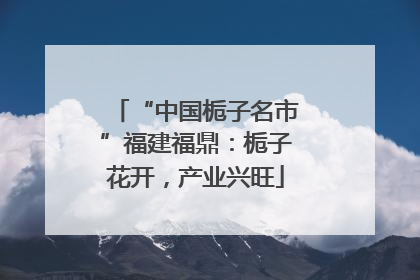 “中国栀子名市”福建福鼎：栀子花开，产业兴旺