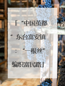 “中国茧都”东台富安镇：“一根丝”编织富民路