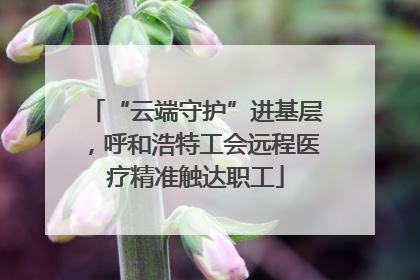 “云端守护”进基层，呼和浩特工会远程医疗精准触达职工