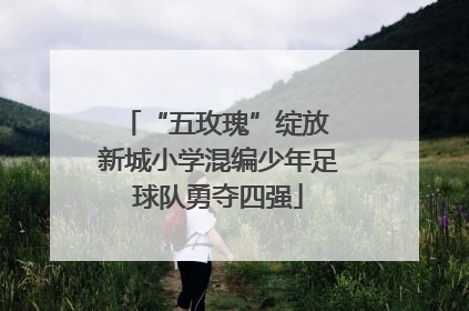 “五玫瑰”绽放 新城小学混编少年足球队勇夺四强