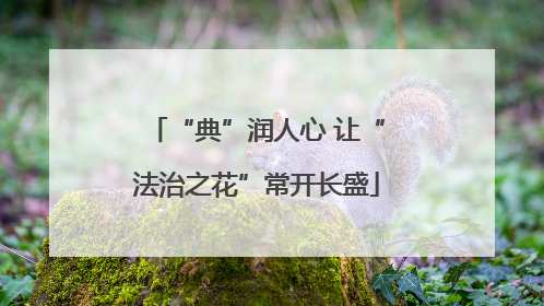 “典”润人心 让“法治之花”常开长盛