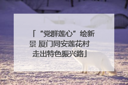 “党群莲心”绘新景 厦门同安莲花村走出特色振兴路
