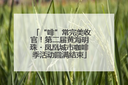 “啡”常完美收官！第二届黄海明珠・凤凰城市咖啡季活动圆满结束