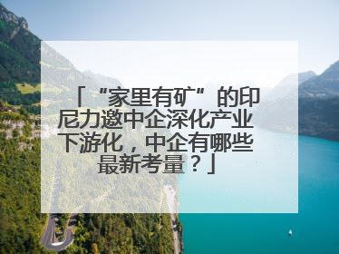 “家里有矿”的印尼力邀中企深化产业下游化，中企有哪些最新考量？