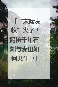 “宋陵麦收”火了！揭秘千年石刻与麦田如何共生→
