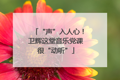 “声”入人心！卫辉这堂音乐党课很“动听”