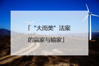 “大而美”法案的赢家与输家