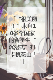 “很美丽！”来自10多个国家的留学生“沉浸式”打卡桃花山！