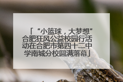 “小篮球，大梦想”合肥狂风公益校园行活动在合肥市第四十二中学南城分校圆满落幕