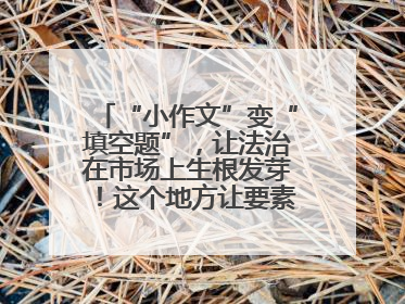 “小作文”变“填空题”，让法治在市场上生根发芽！这个地方让要素式文书入民心