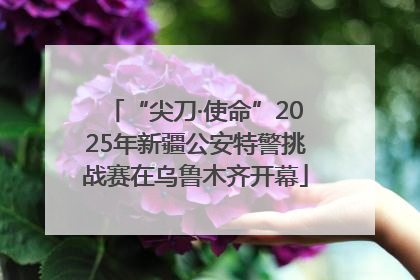 “尖刀·使命”2025年新疆公安特警挑战赛在乌鲁木齐开幕