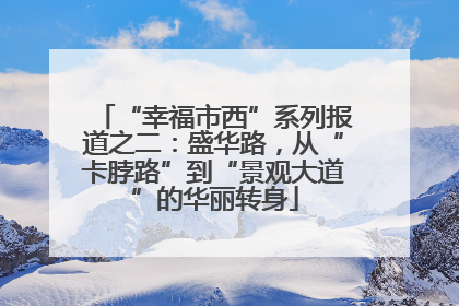 “幸福市西”系列报道之二：盛华路，从“卡脖路”到“景观大道”的华丽转身
