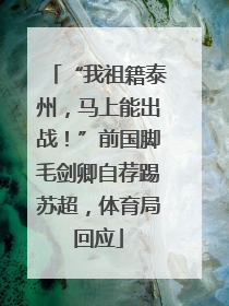 “我祖籍泰州，马上能出战！”前国脚毛剑卿自荐踢苏超，体育局回应