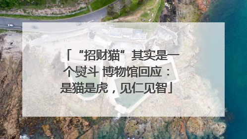 “招财猫”其实是一个熨斗 博物馆回应：是猫是虎，见仁见智