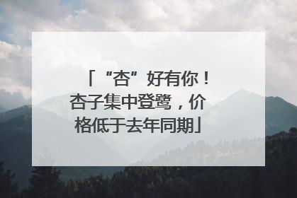 “杏”好有你！杏子集中登鹭，价格低于去年同期