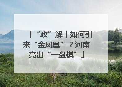 “政”解丨如何引来“金凤凰”？河南亮出“一盘棋”