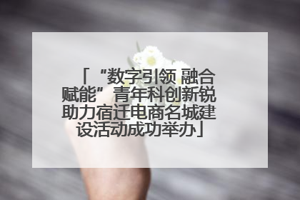 “数字引领 融合赋能”青年科创新锐助力宿迁电商名城建设活动成功举办
