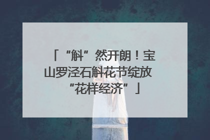 “斛”然开朗！宝山罗泾石斛花节绽放“花样经济”
