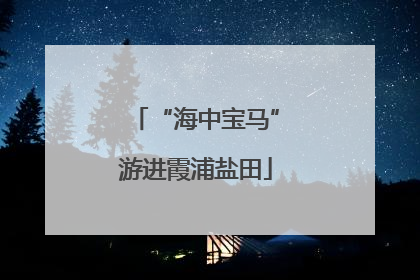 “海中宝马”游进霞浦盐田