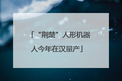 “荆楚”人形机器人今年在汉量产