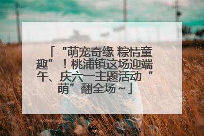 “萌宠奇缘 粽情童趣”！桃浦镇这场迎端午、庆六一主题活动“萌”翻全场～
