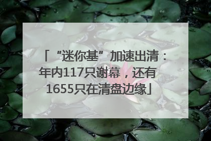 “迷你基”加速出清：年内117只谢幕，还有1655只在清盘边缘