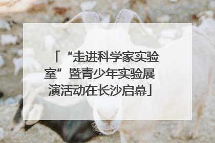 “走进科学家实验室”暨青少年实验展演活动在长沙启幕
