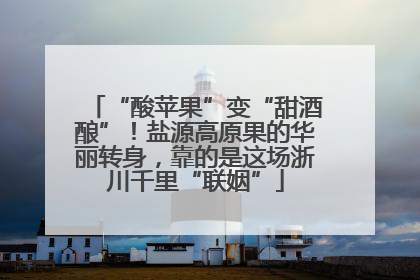 “酸苹果”变“甜酒酿”！盐源高原果的华丽转身，靠的是这场浙川千里“联姻”