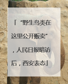 “野生鸟类在这里公开贩卖”，人民日报暗访后，西安表态
