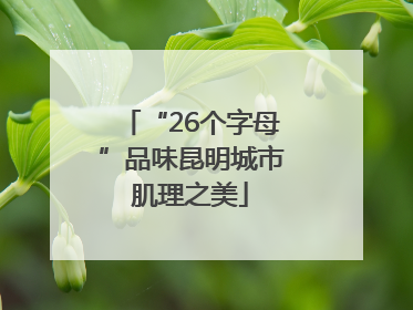 “26个字母”品味昆明城市肌理之美